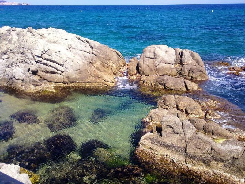 Cap Roig & By Brava Platja d'Aro